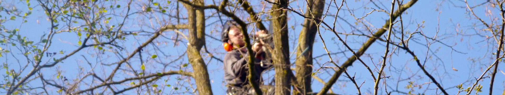 Klomp hovenier en groenvoorziening B.V.