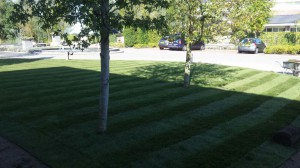 6f4b7bd6-8081-4271-a71f-6be2d88bbc85