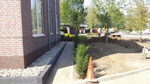 8bc73fdd-4782-4037-8ec8-f80241077010