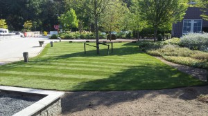 a452845c-45ac-4d75-8369-d9bf98e0d16b