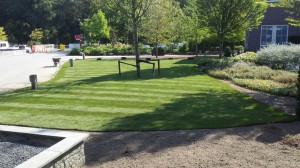 c8089e03-0cbf-49b4-a482-b890f5481d07